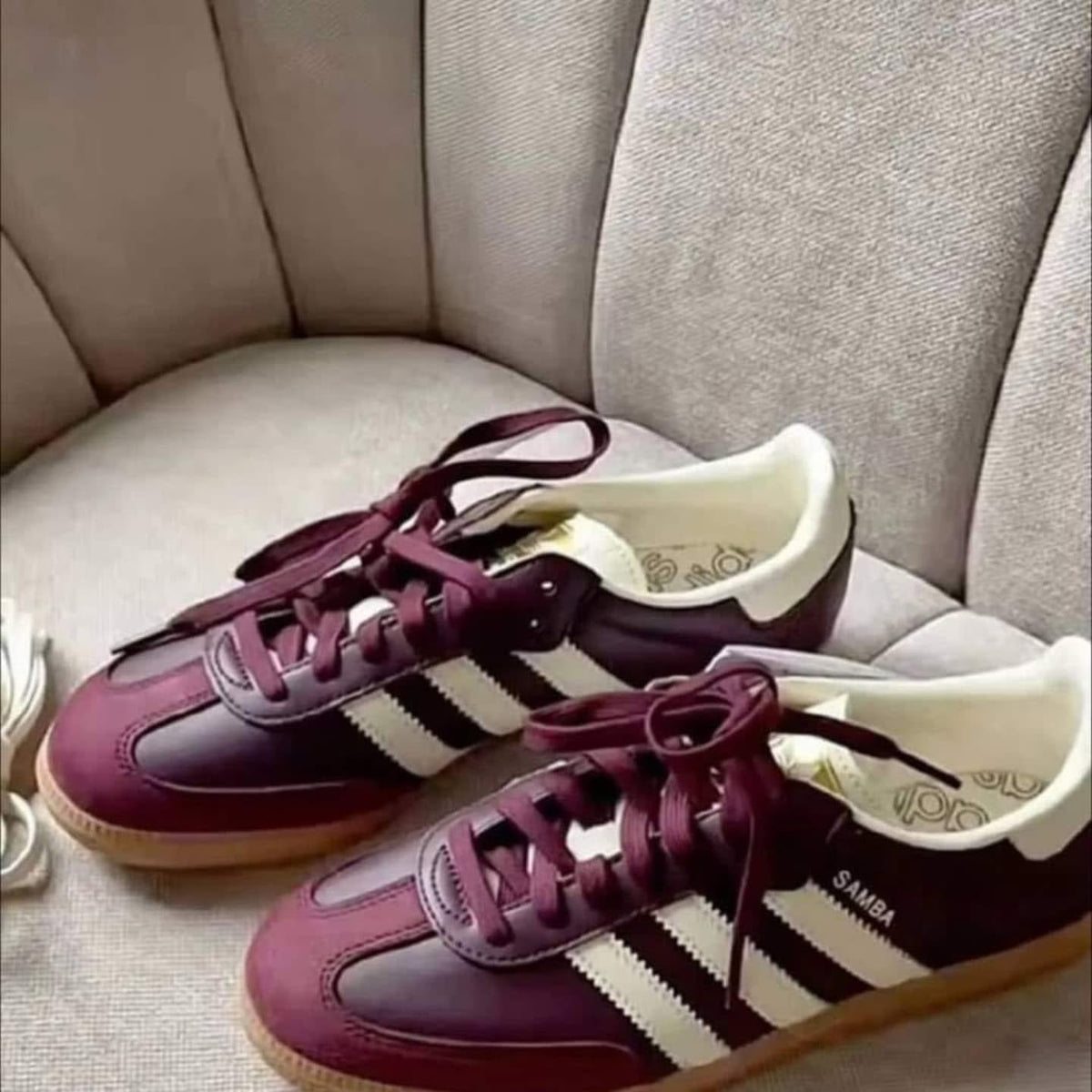 samba bordeaux
