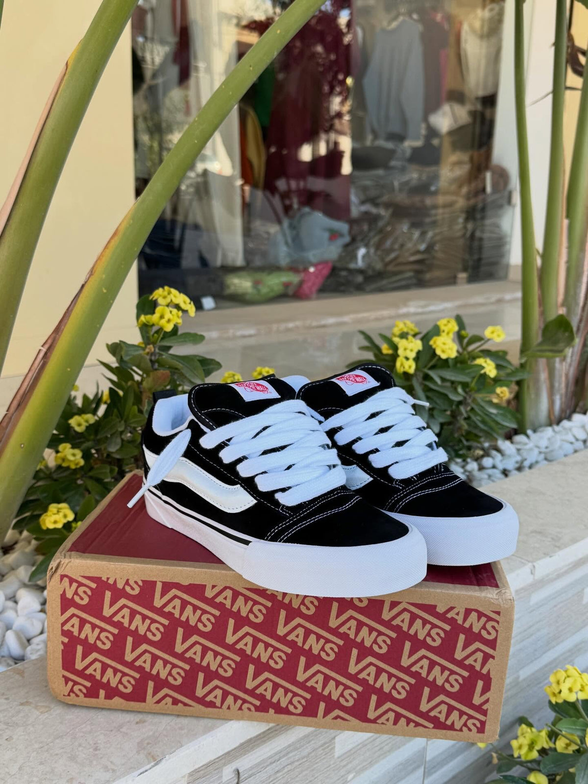 Vans Knu School